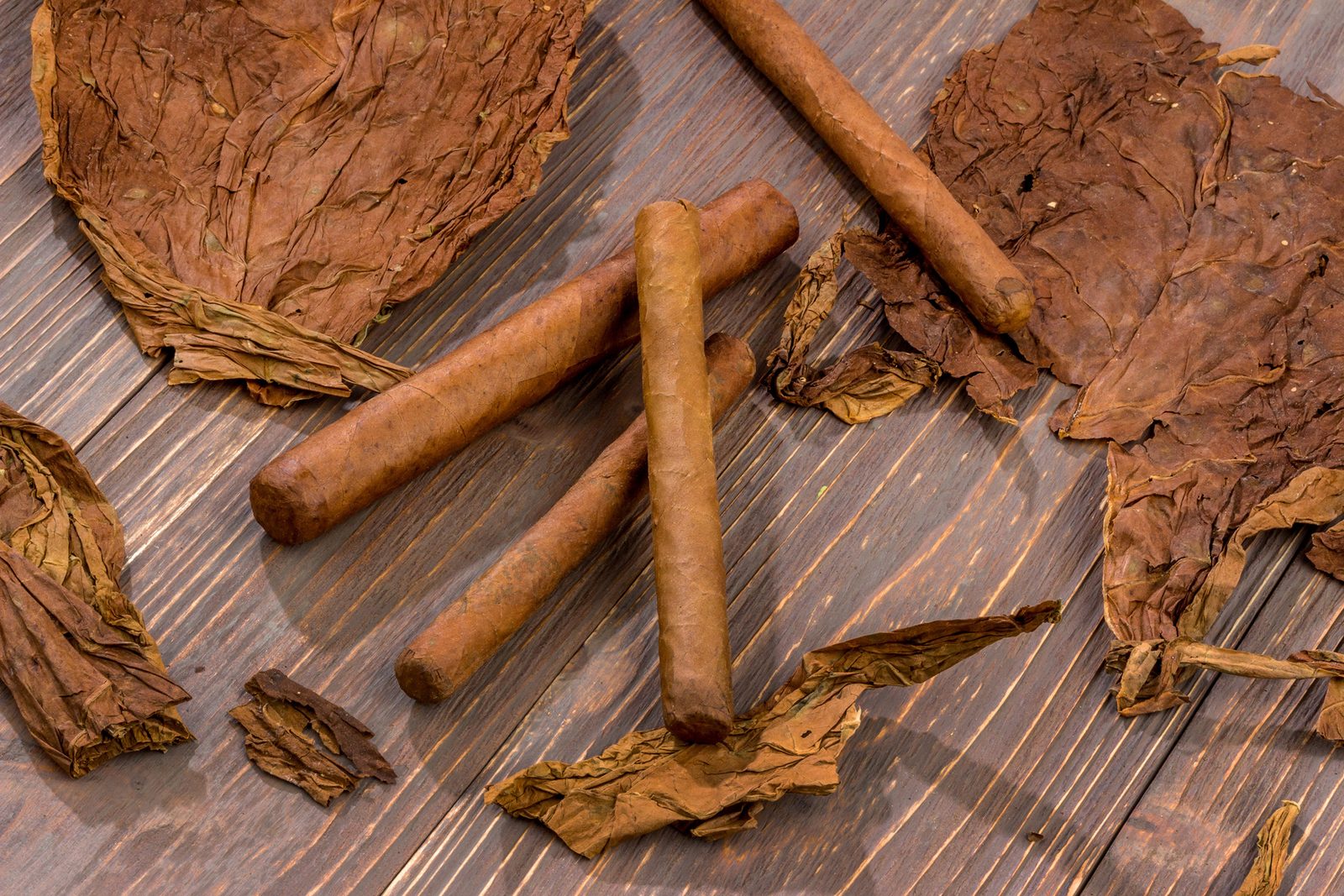 Puros: Puros artesanales sobre hojas de tabaco curadas